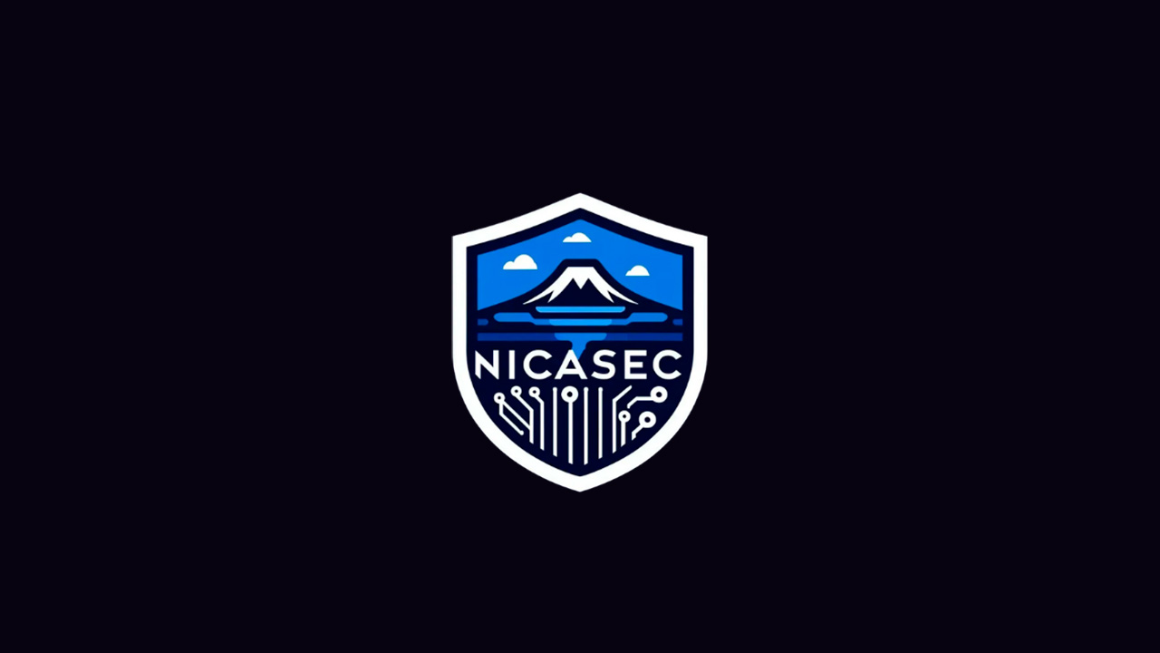 NicaSecurity Logo